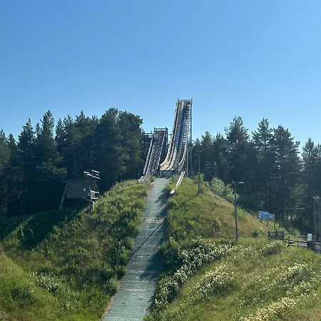 Virpiniemen Maston Villa, * 奥卢