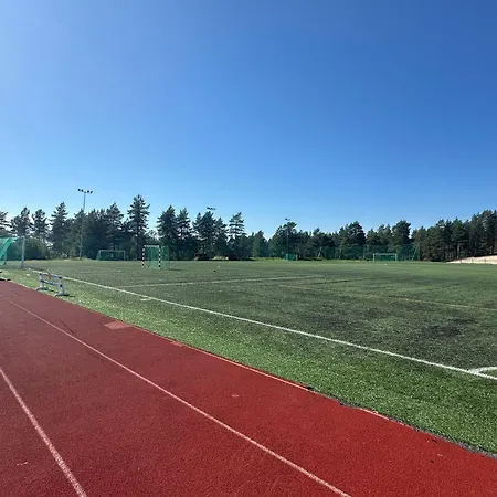 Virpiniemen Maston Villa, 度假居 *