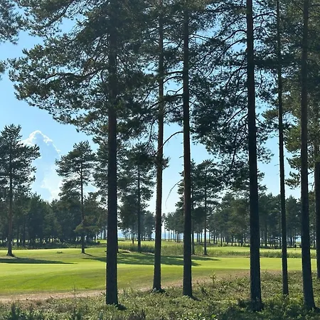 Virpiniemen Maston Villa, * オウル